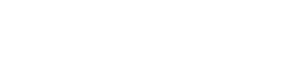vanguard-logo-de