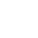 custom-partner-icon