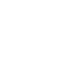 custom-partner-icon