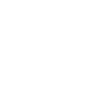 custom-partner-icon