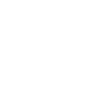 custom-partner-icon