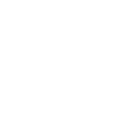 custom-partner-icon