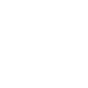 custom-partner-icon