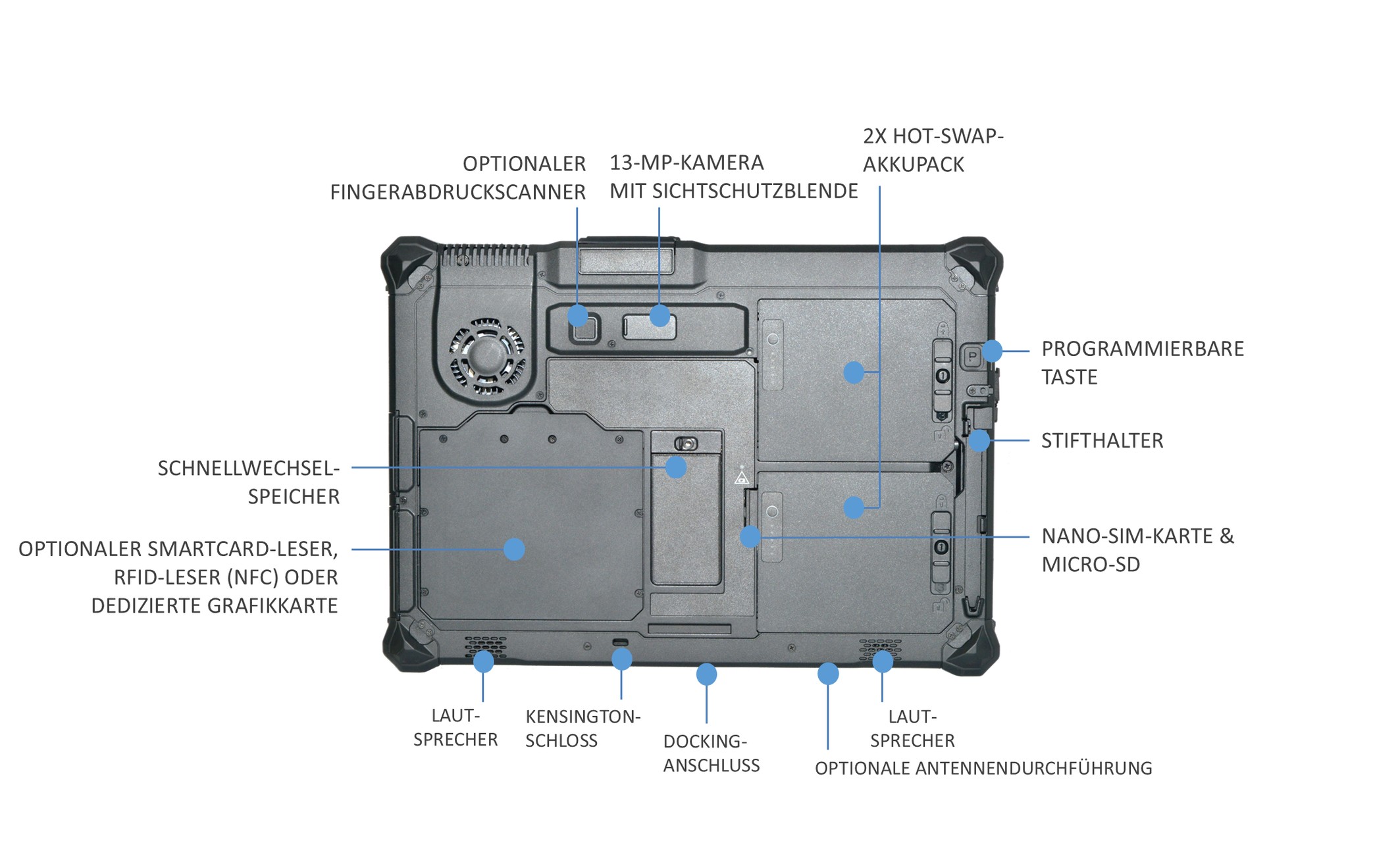 R12-anatomy-rear-de